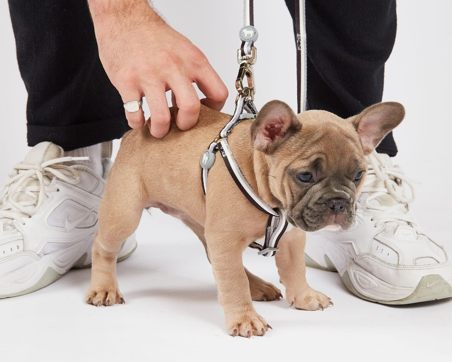 Cheap discount puppy stuff