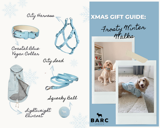 Christmas Gifts For Dogs Under 30 Euro - Ferplast's list