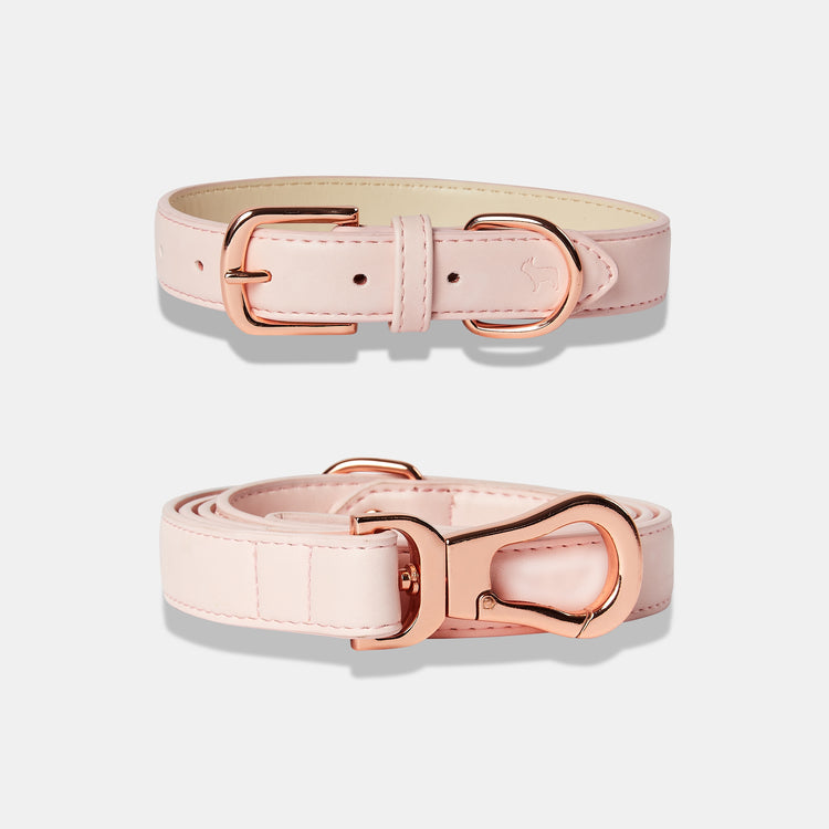 Designer blush pink dog collar and lead set