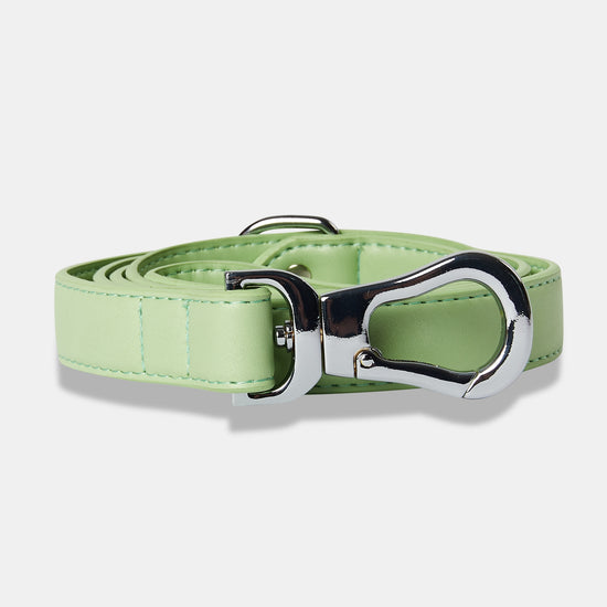 Green Dog Lead from Matching Set