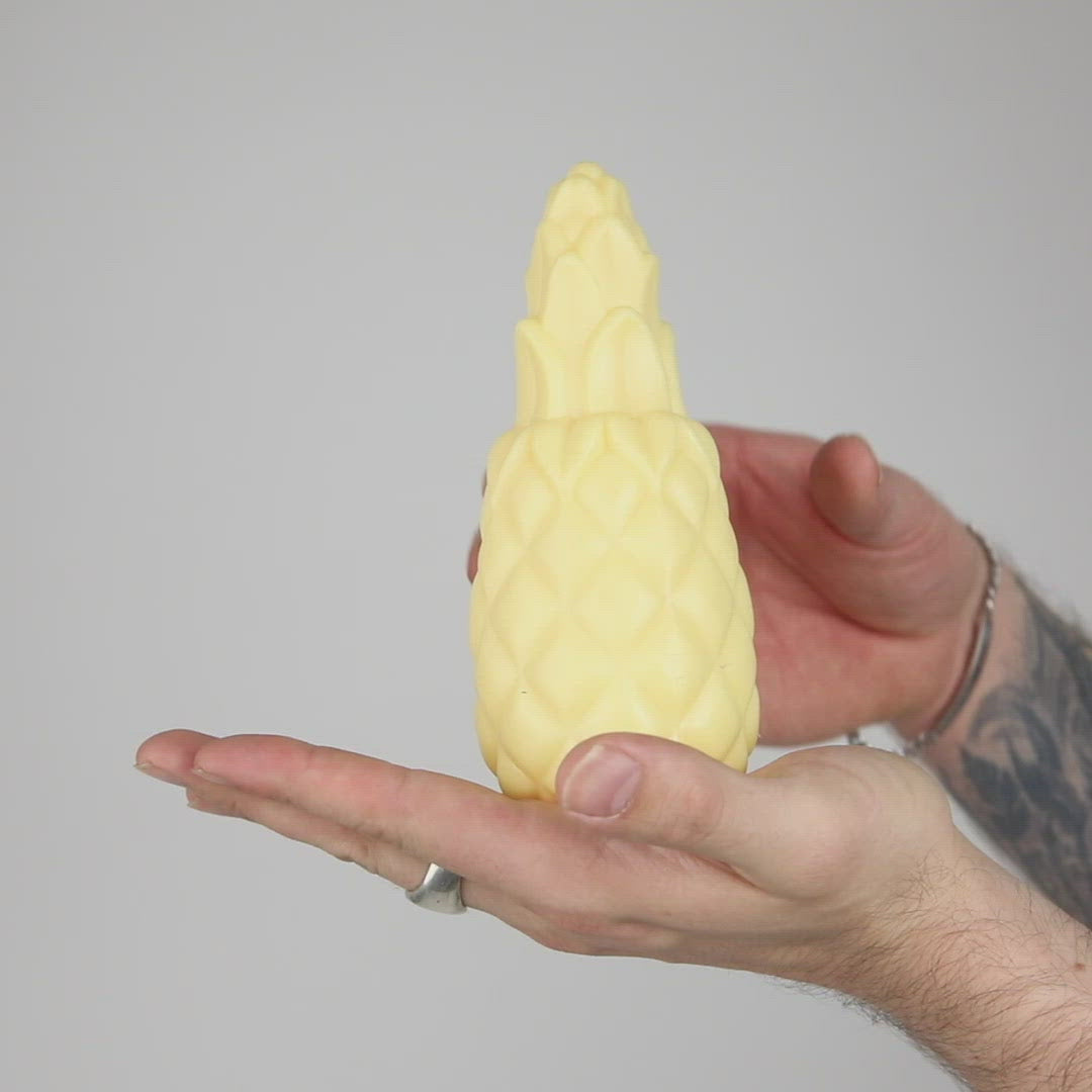 Squeaky pineapple dog clearance toy