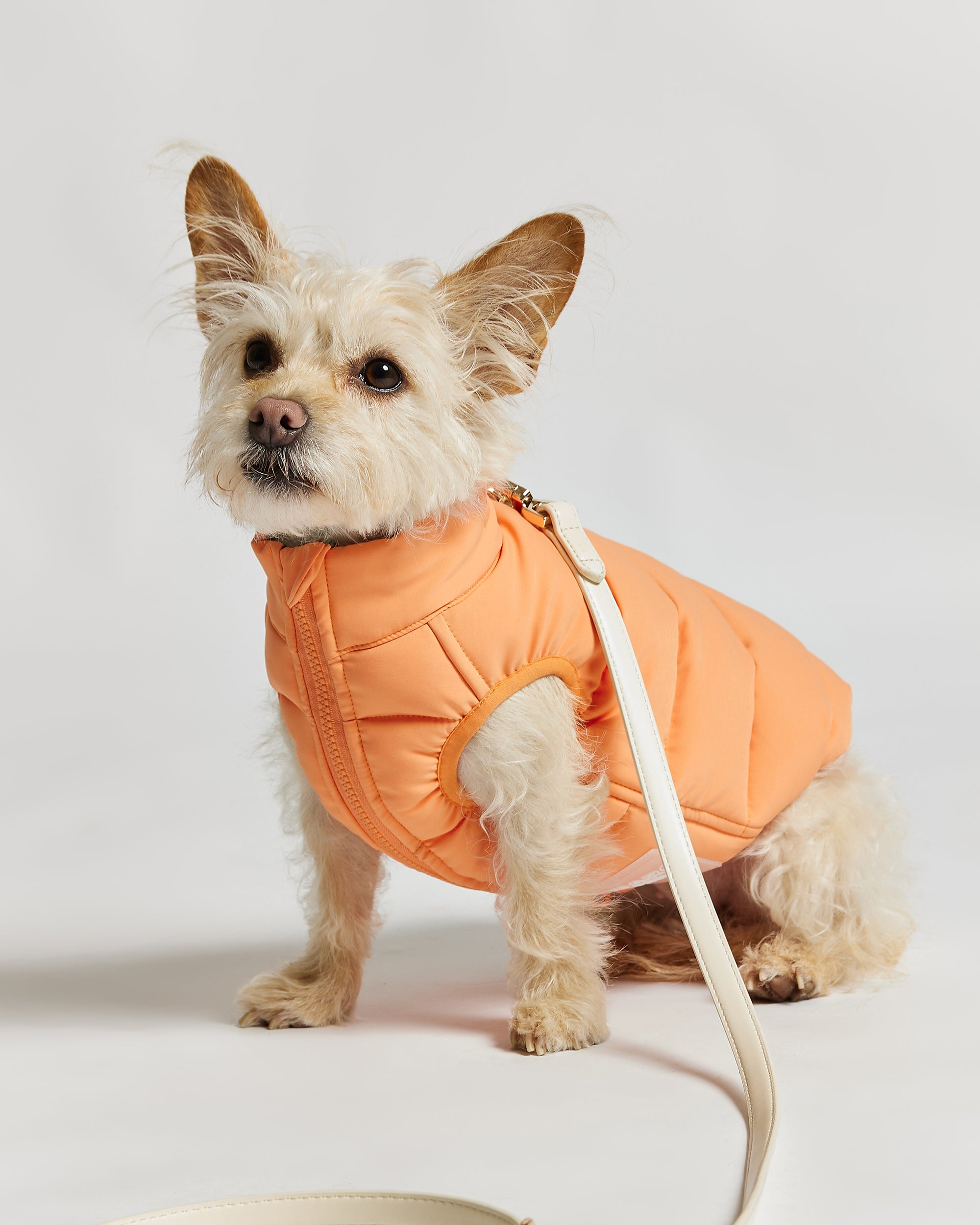 Reversible Dog Puffer Jacket: Coral & Khaki Green