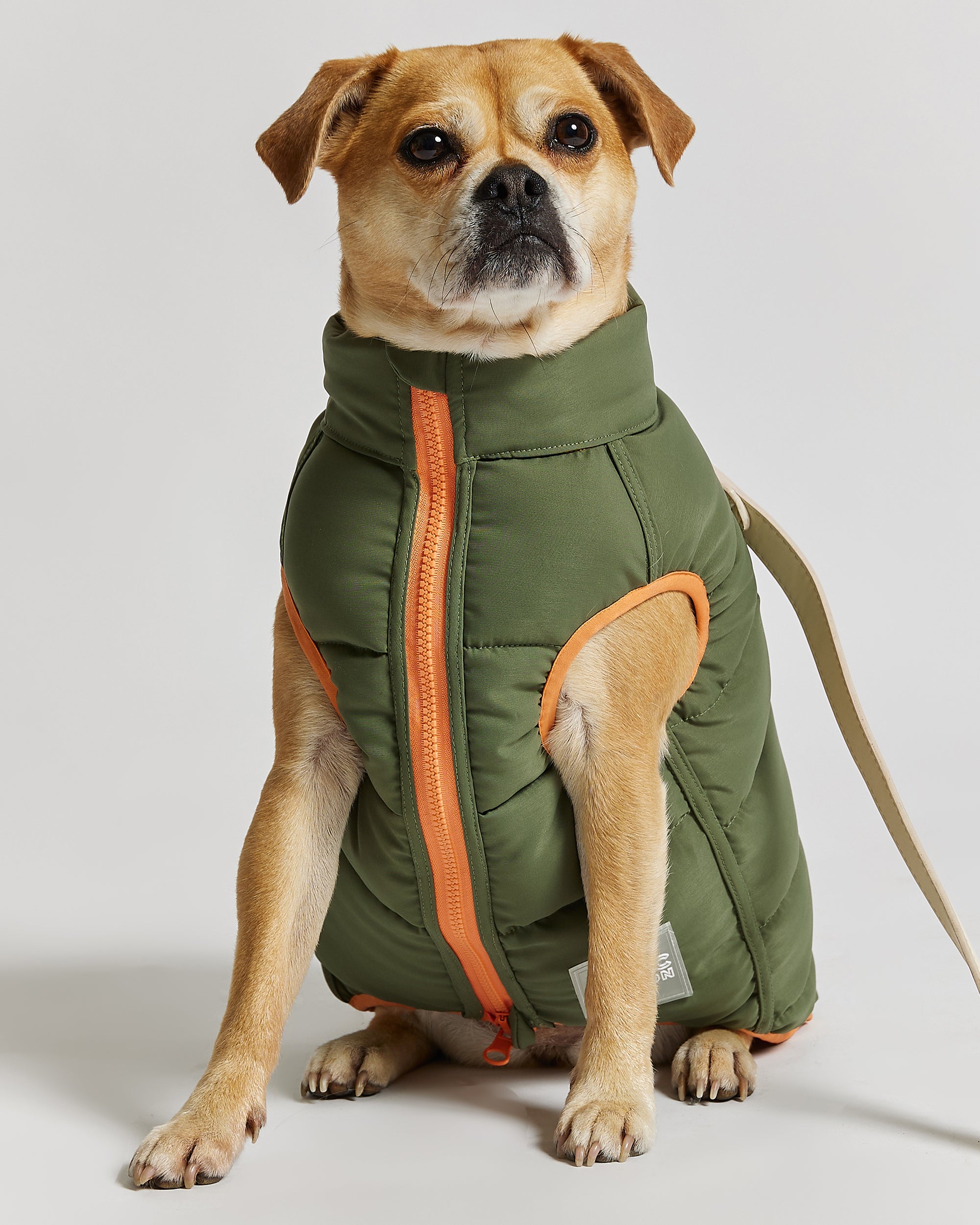 Reversible Dog Puffer Jacket: Coral & Khaki Green