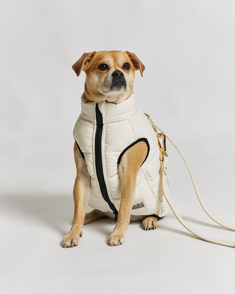 Reversible Dog Puffer Jacket: Black & Off White