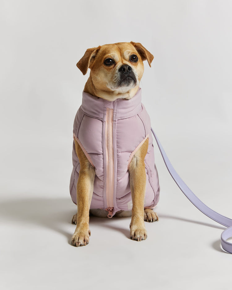 Reversible Dog Puffer Jacket: Pink & Lilac
