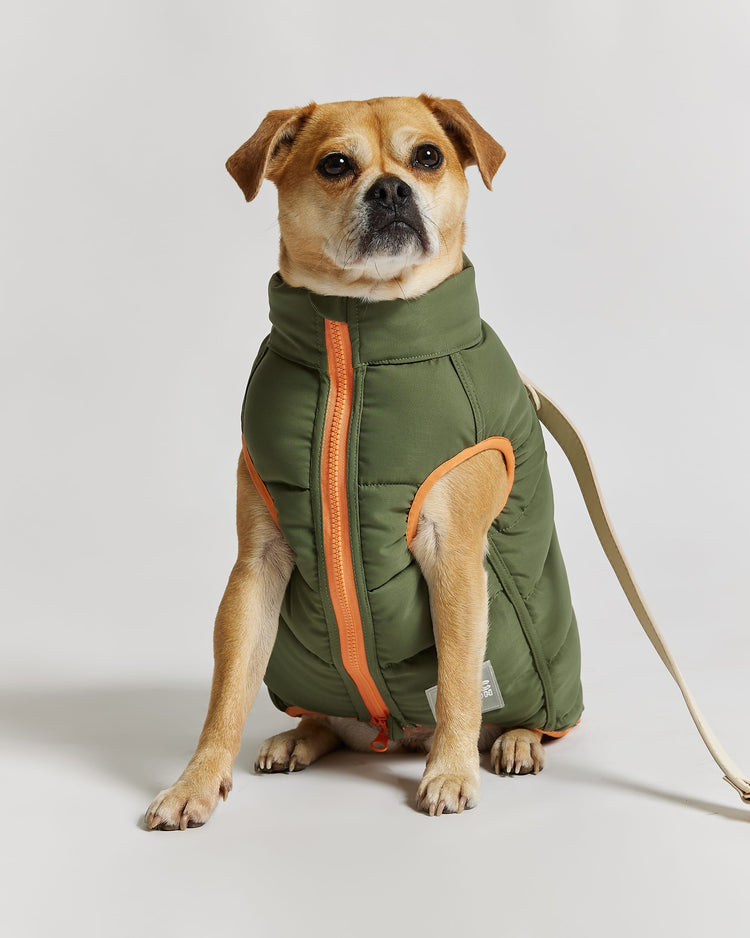 Reversible Dog Puffer Jacket: Coral & Khaki Green
