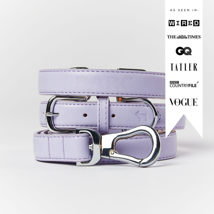 Lilac Dog Collar & Lead Set