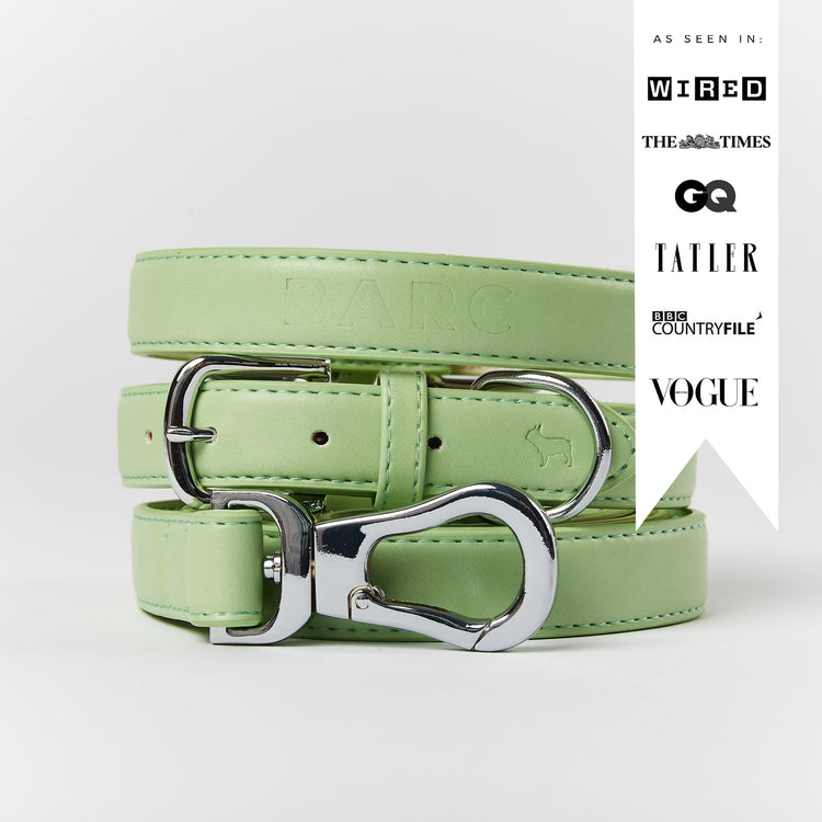 Green Dog Collar & Lead Set
