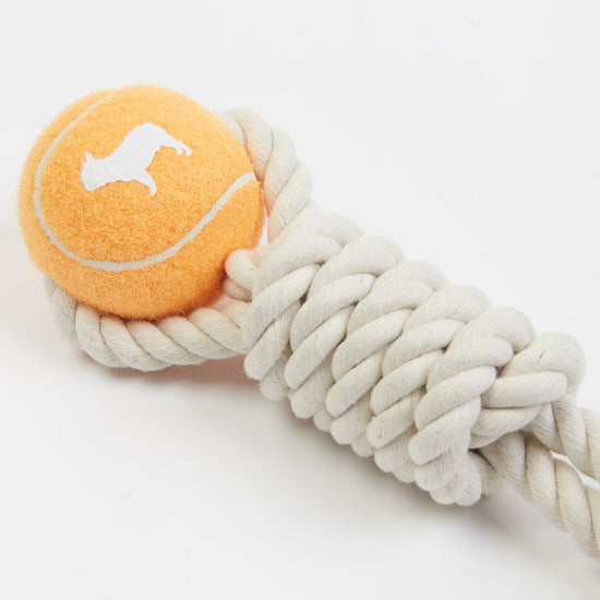 Tennis Ball & Rope Dog Toy in Vibrant Orange