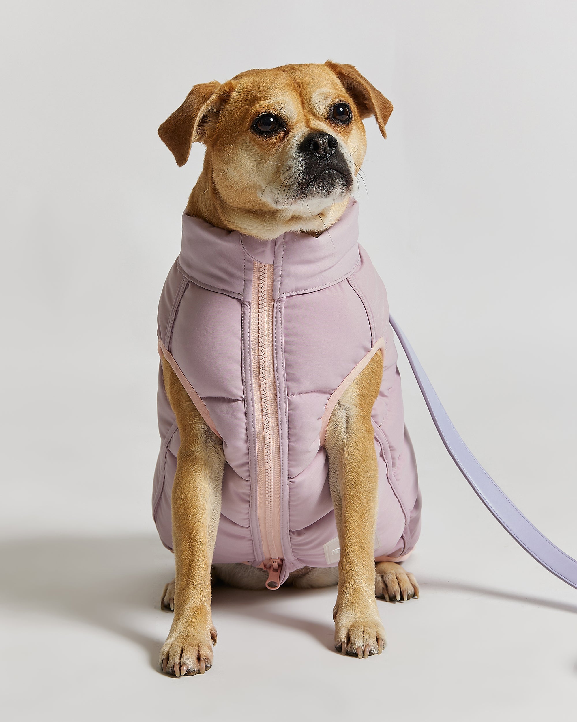 Reversible Dog Puffer Jacket: Pink & Lilac