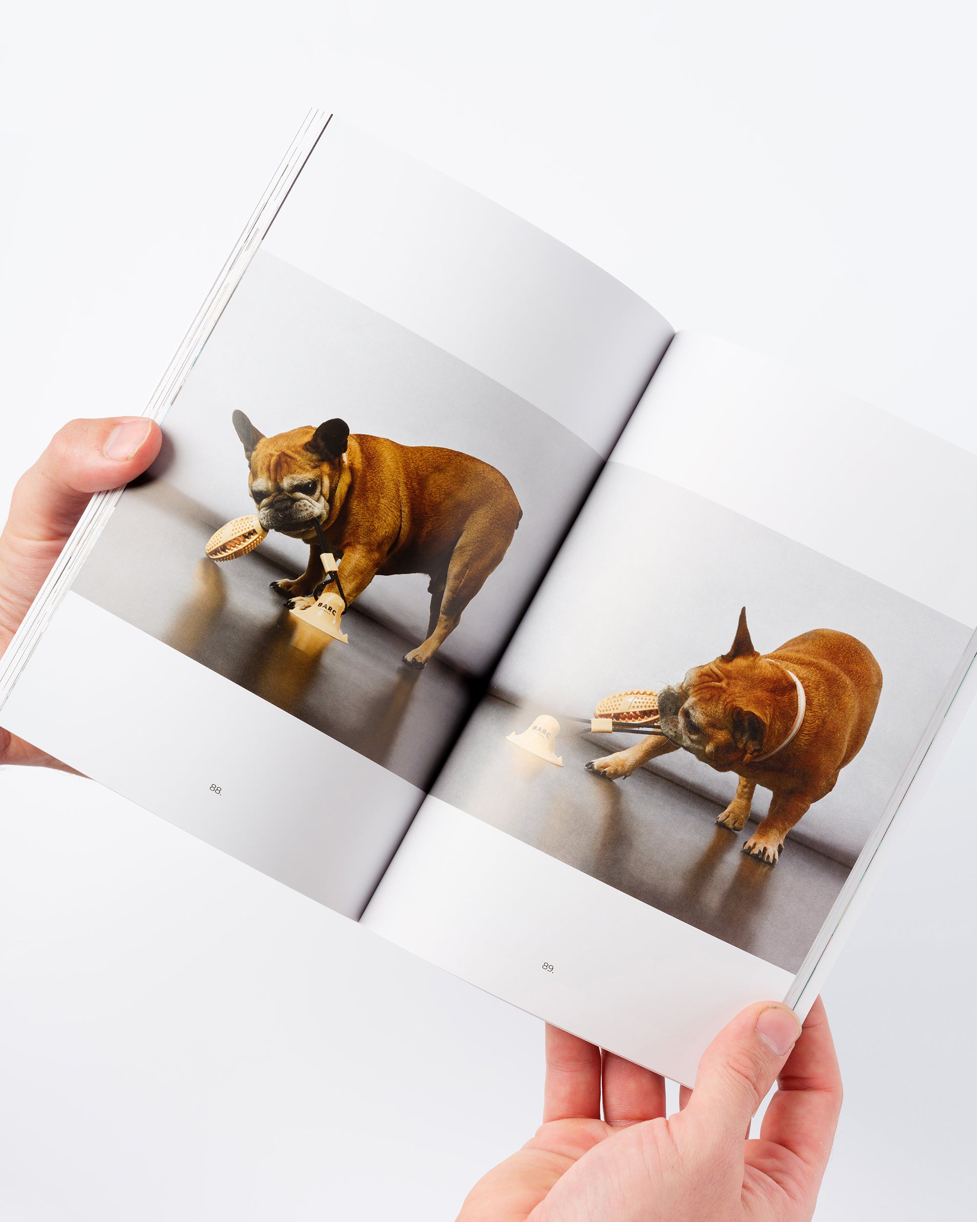 Inside Barc London Book with Pictures of French Bulldog