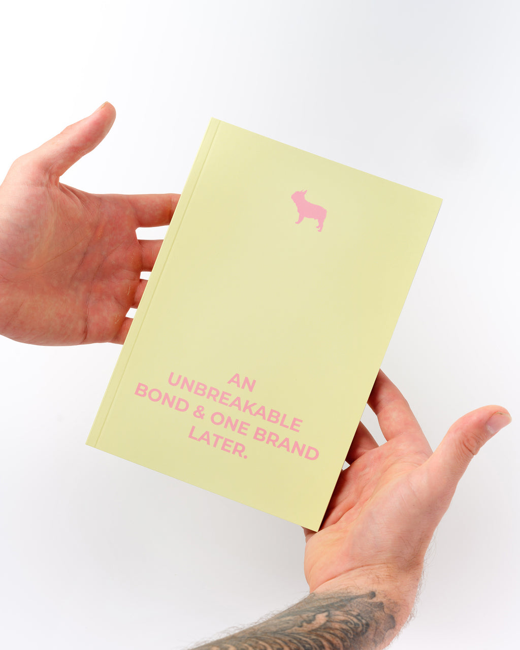 Barc London Startup Story in Yellow