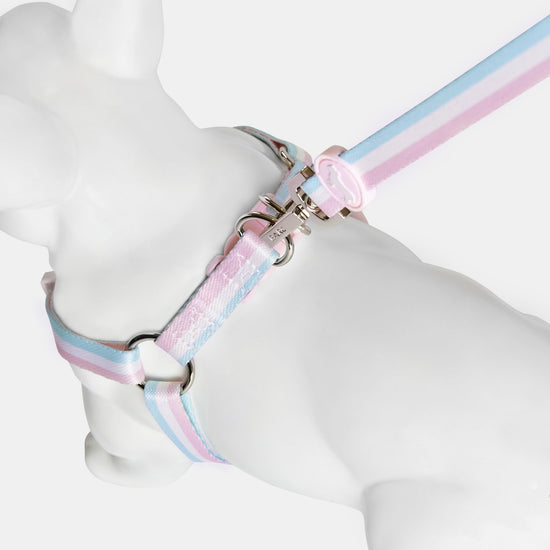 Barc London Pretty Dog Harness in Pink, White, Blue. Matching Three-Stripe Lead.