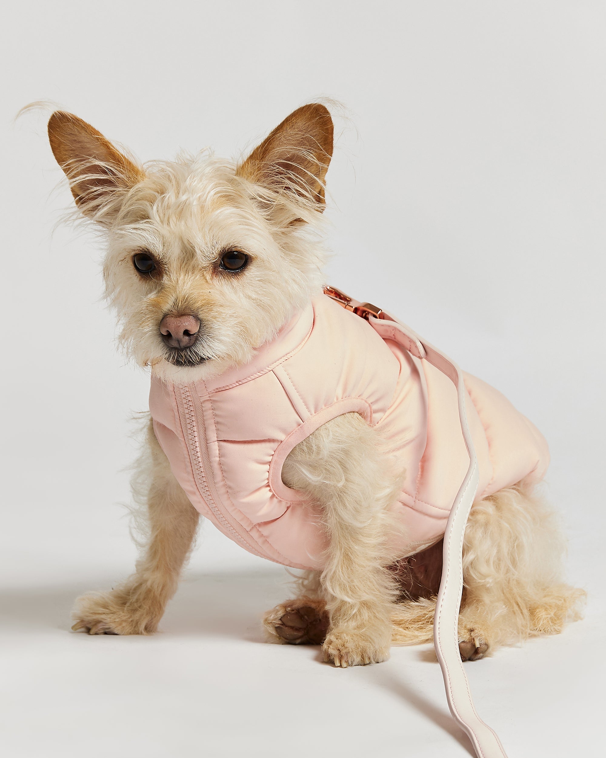 Reversible Dog Puffer Jacket: Pink & Lilac