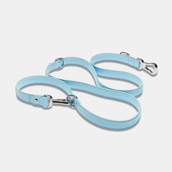 Blue Extendable Dog Lead with Silver D Rings