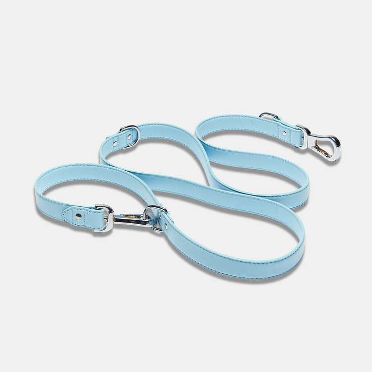 Blue Extendable Dog Lead with Silver D Rings
