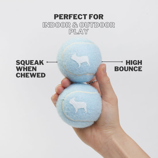 Two Blue Tennis Balls With Squeaky Feature When Chewed by Dogs