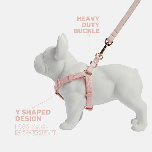 Blush Pink Y Shaped Dog Harness with Rose Gold Heavy Duty Buckles and Pretty Pink Vegan Leather Back Straps