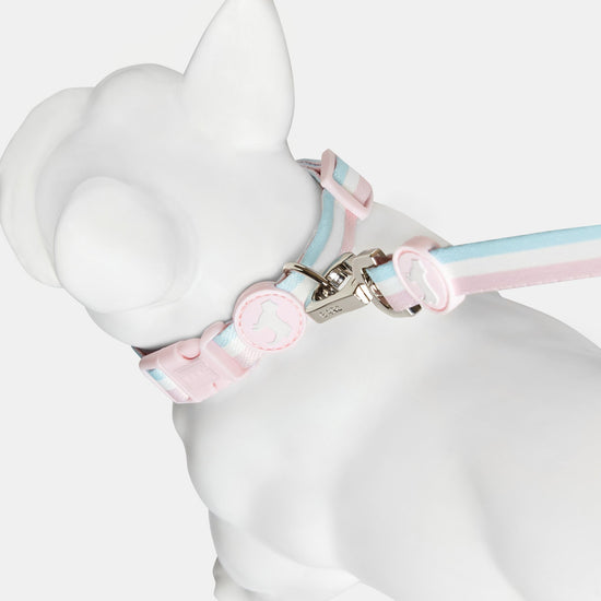 Candyfloss Fabric Dog Collar with Pastel Pink Rubber Barc London Branding