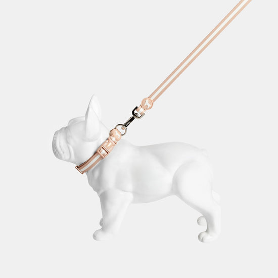 Champagne Stripe Fabric Dog Lead & Matching Collar by Barc London