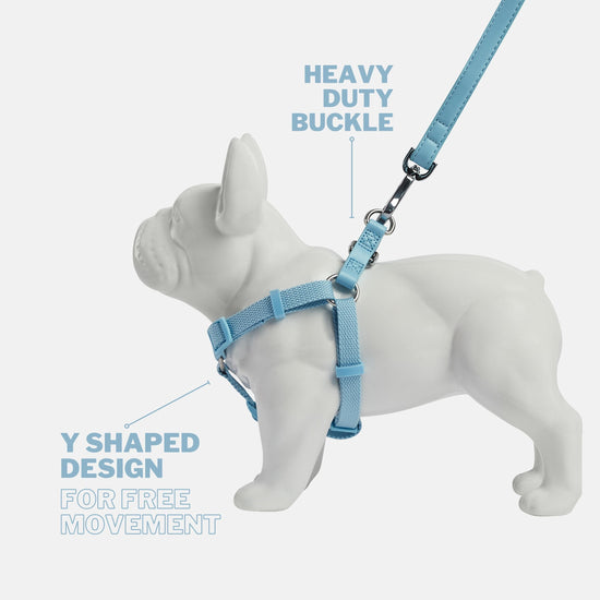 Coastal Blue Y Shaped Dog Harness for Full Motion and Shoulder Movement. Features Heavy Duty Buckle for Safety and Support during Dog Walks