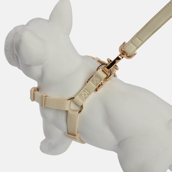 Cream Dog Harness and Lead Set 