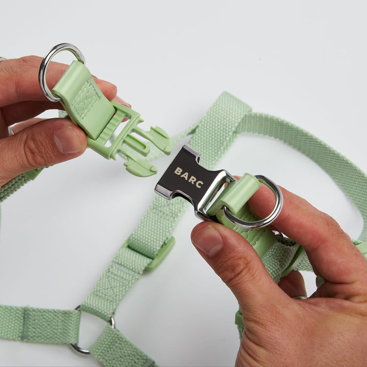Dog Harness with Green Straps and Chrome 'Barc London' Buckle
