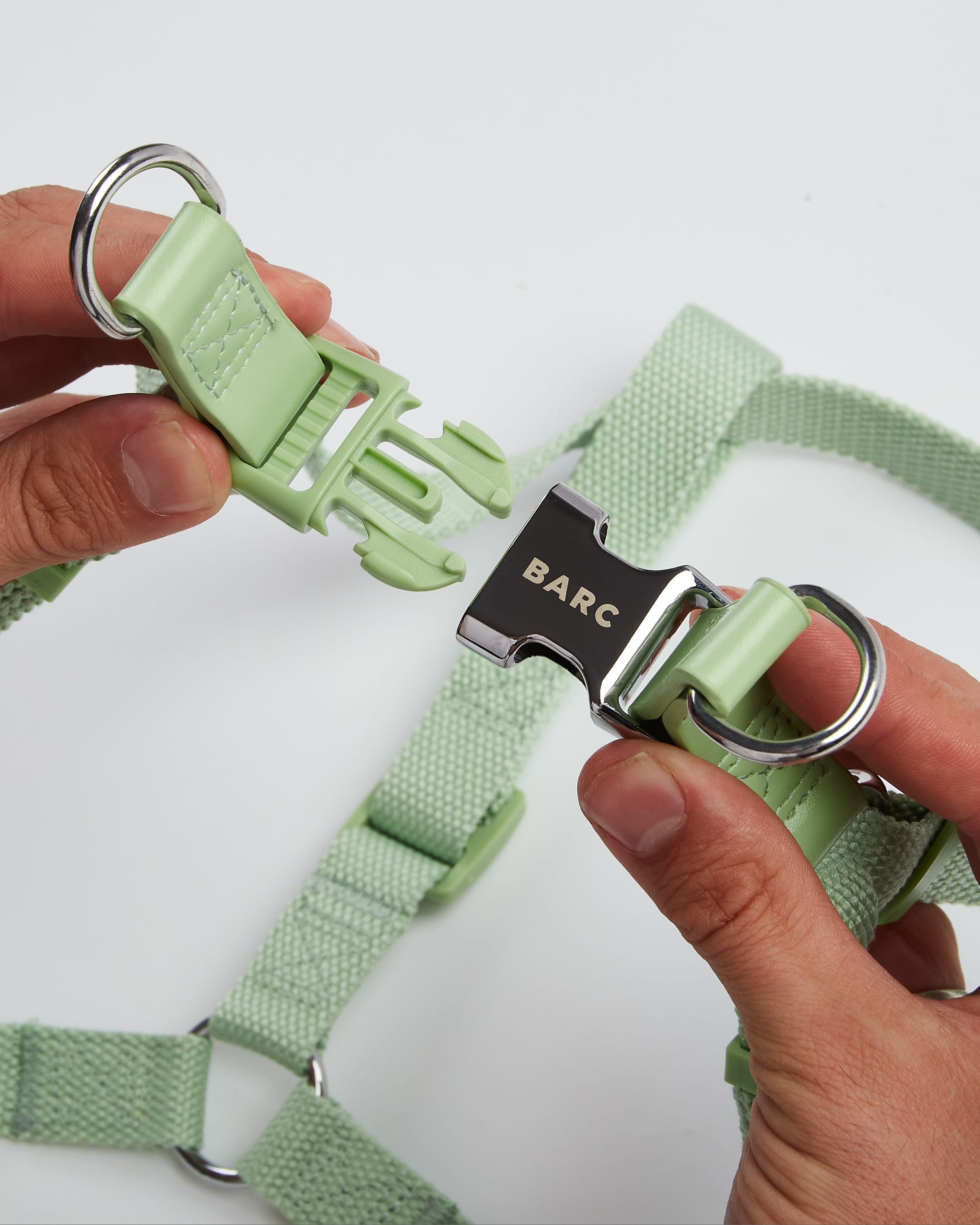 Dog Harness with Green Straps and Chrome 'Barc London' Buckle