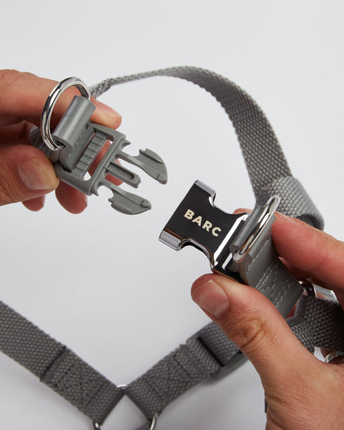 Dog Harness with Grey Straps and Chrome Buckle by Barc London 