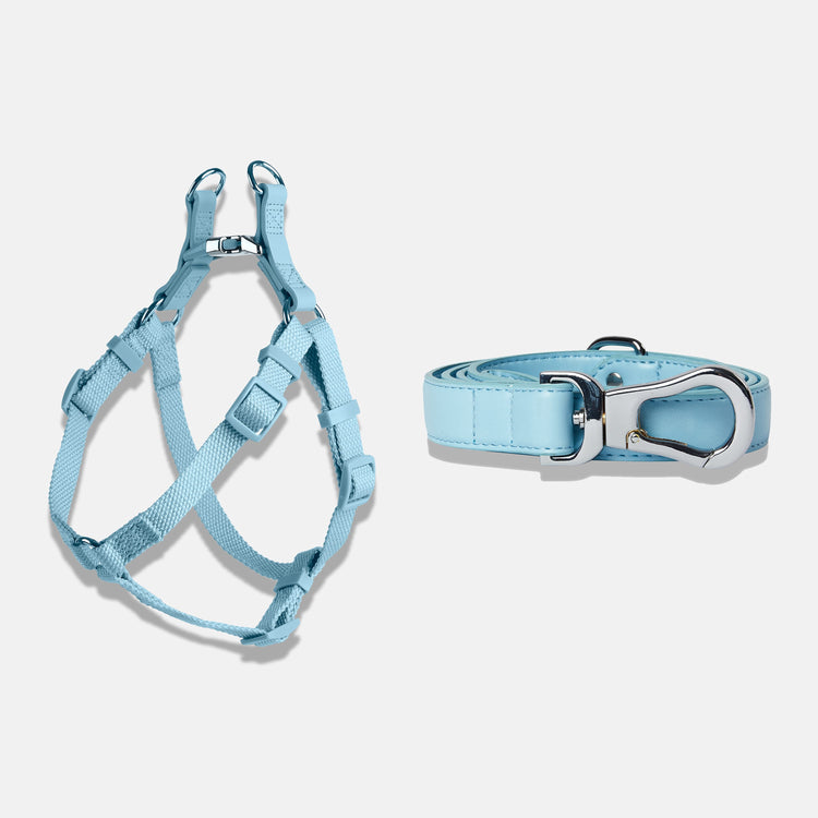 Dog Harness and Lead in Coastal Blue Colourway