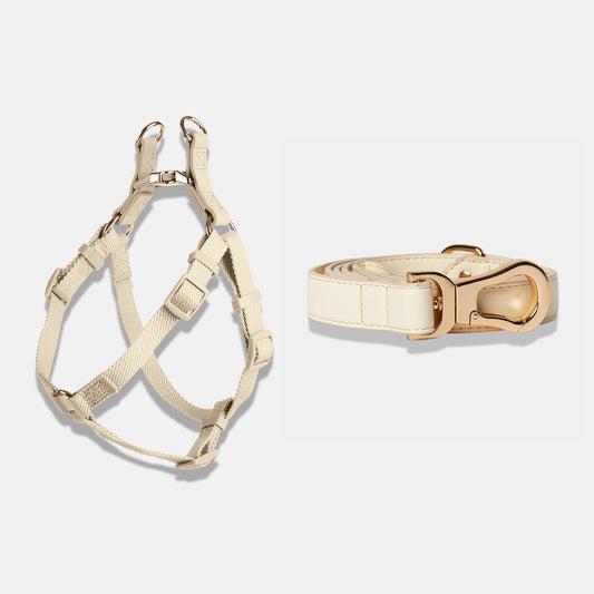 Dog Harness and Lead in Light Ivory