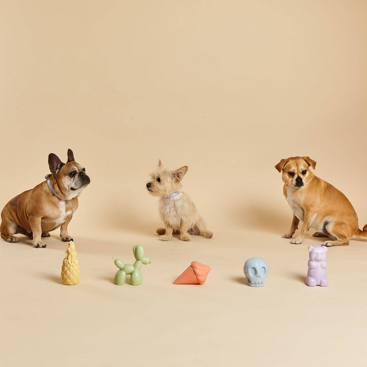 Three Dogs Sit With Collection of Dog Squeaky Toys