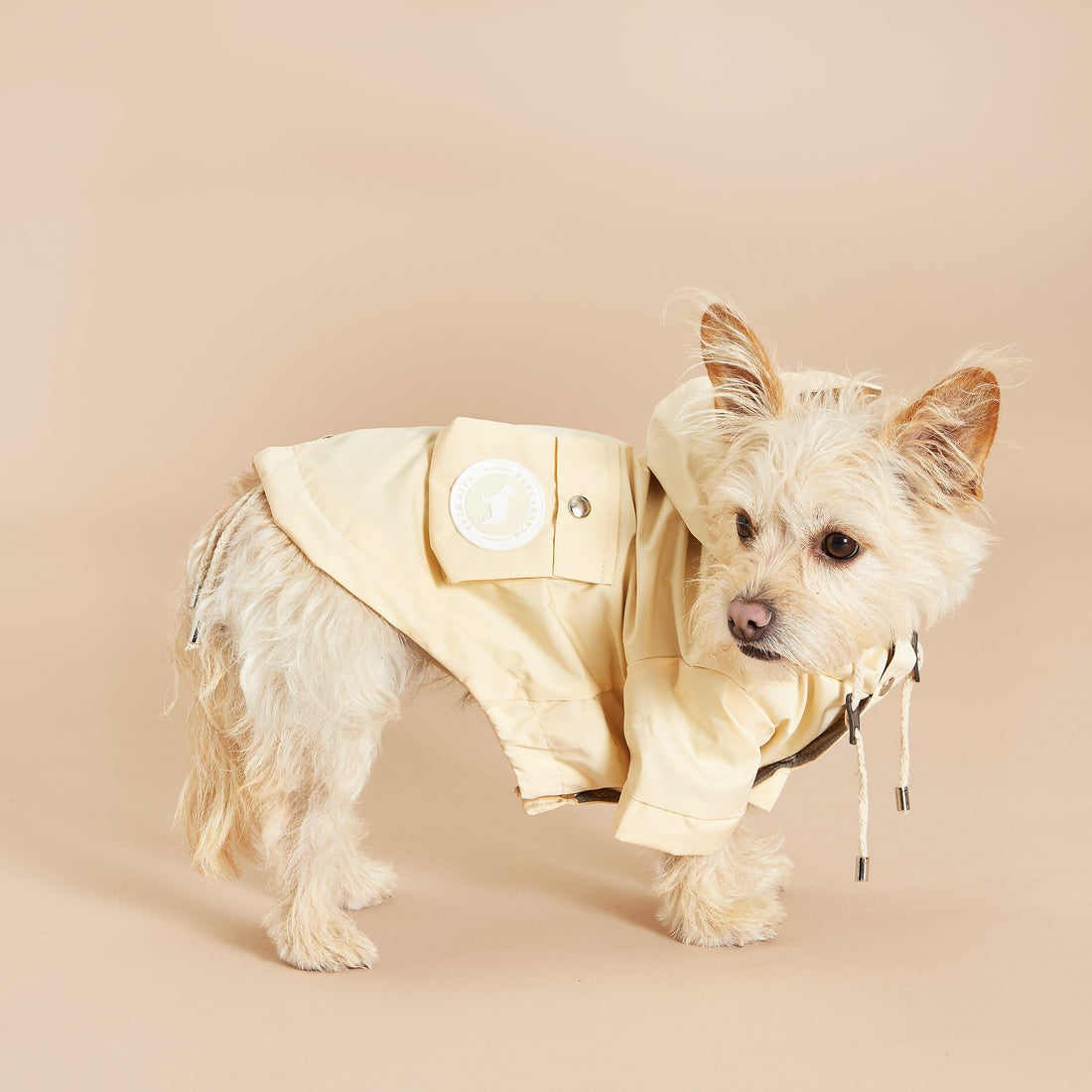 Yellow Dog Raincoat Waterproof Dog Coats Barc London