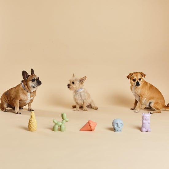 Dogs Sitting With Barc London's Five Squeaker Toys