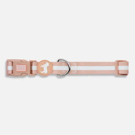 Fabric Dog Collar in Champagne Stripe by Barc London