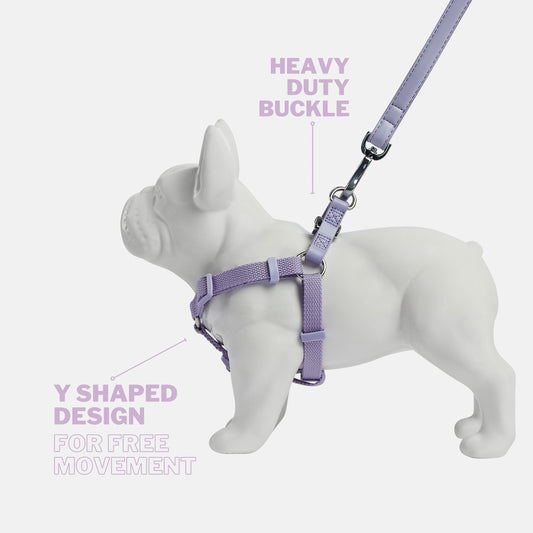 Fresh Lilac Y Shaped Dog Harness for Comfort and Free Movement. Features Heavy Duty Chrome Buckles and Vegan Leather Back Straps