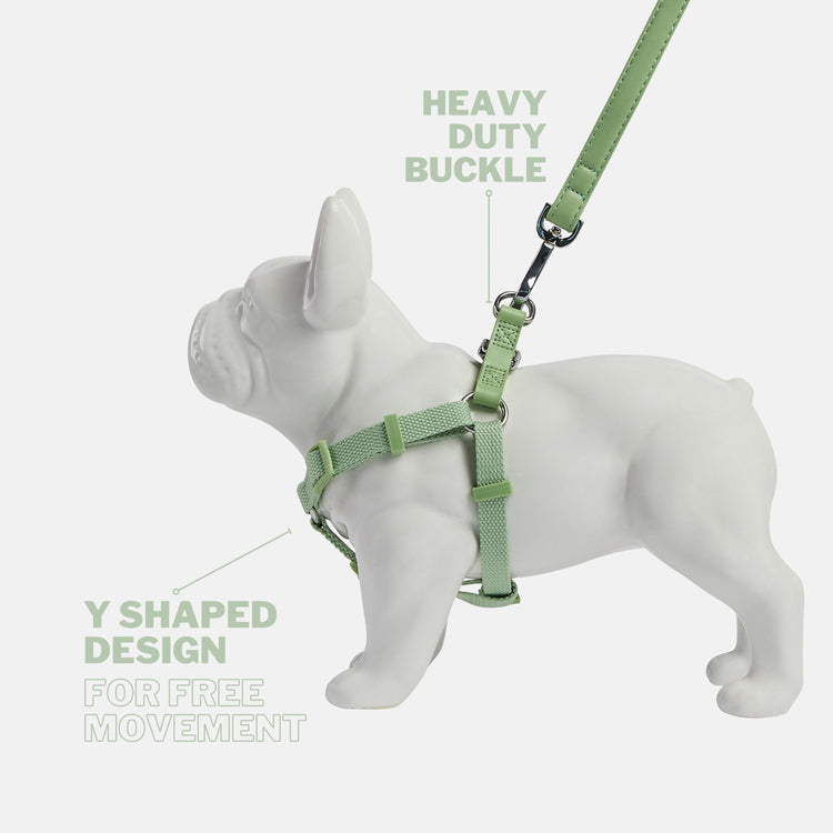 Green Dog Harness and Lead with Y Shape Design and Heavy Duty Chrome Buckles