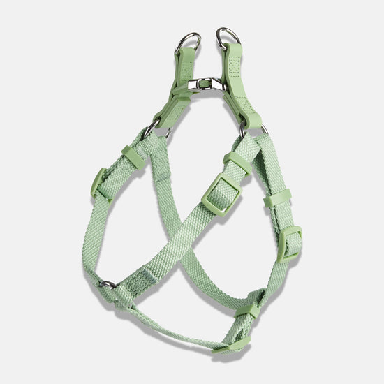 Green Dog Harness by Barc London