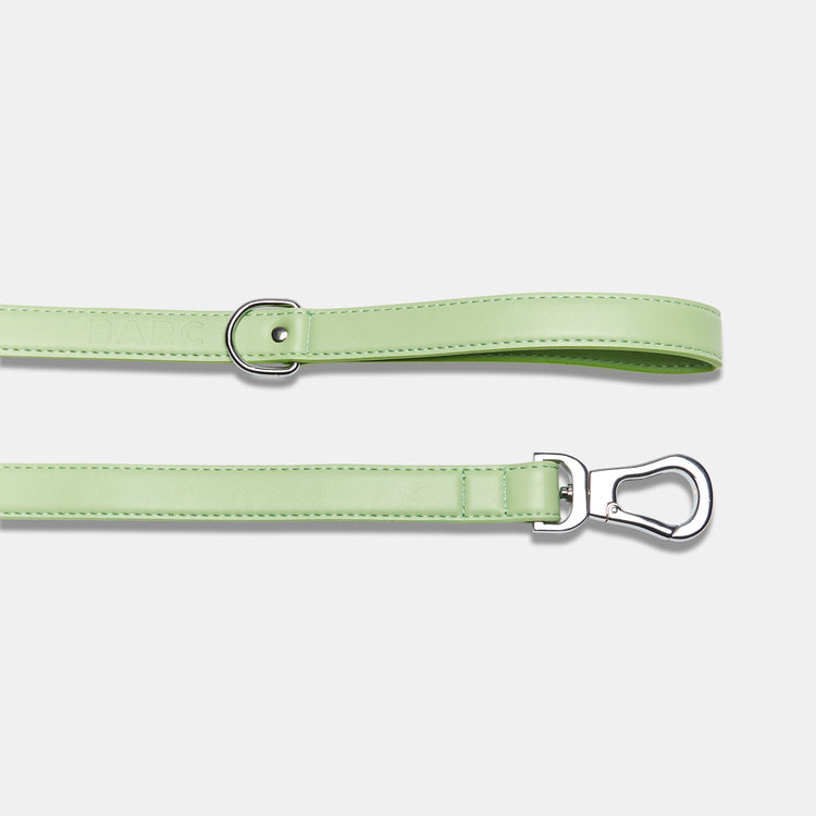 Green Dog Lead Handle and Clasp Details