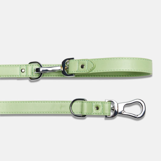 Green Double Ended Dog Lead with Chrome Buckles and D Rings