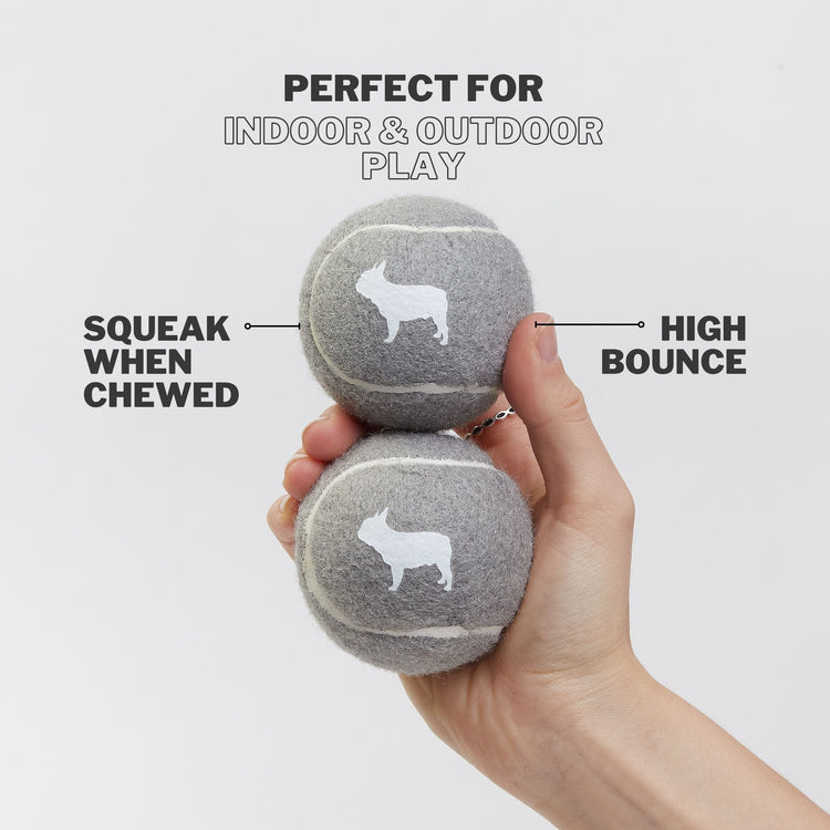 Two Grey Balls for Dogs With High Bounce for Outdoor Playtime