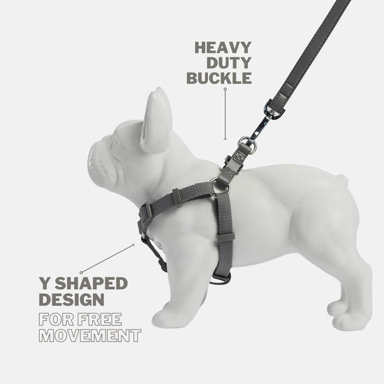 Ash Grey Dog Harness and Lead Set with Heavy Duty Chrome Buckles