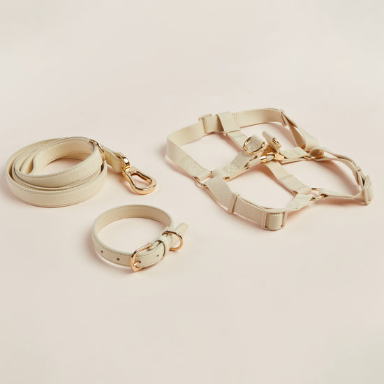 Matching Barc London Harness, Collar and Lead Set in Ivory