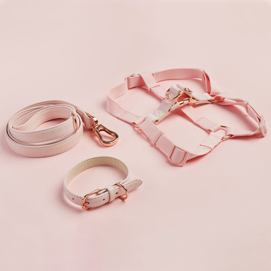 Matching Barc London Harness, Collar and Lead Set in Pink