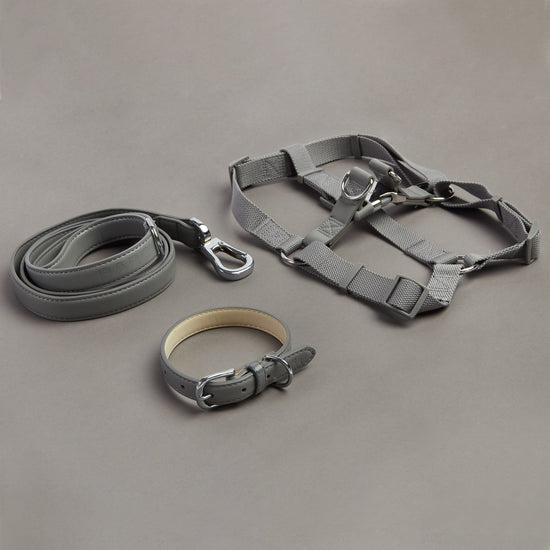 Harness, Collar and Lead Set in Grey