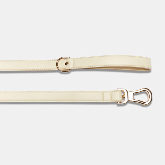 Ivory Dog Lead Handle and Clasp Details