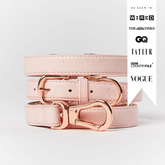 Pink Dog Collar As Seen In Wired, The Times, GQ, Tatler, BBC Countryfile, Vogue