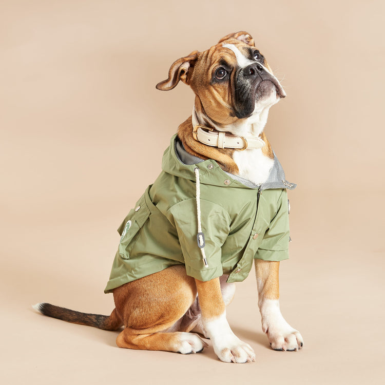 Khaki Waterproof Dog Jacket With Peaked Drawstring Hood