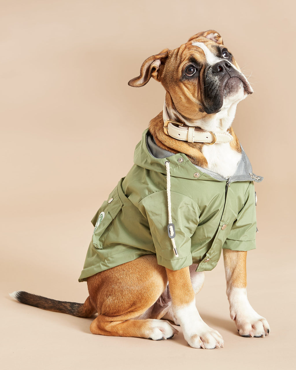 Khaki Waterproof Dog Jacket With Peaked Drawstring Hood