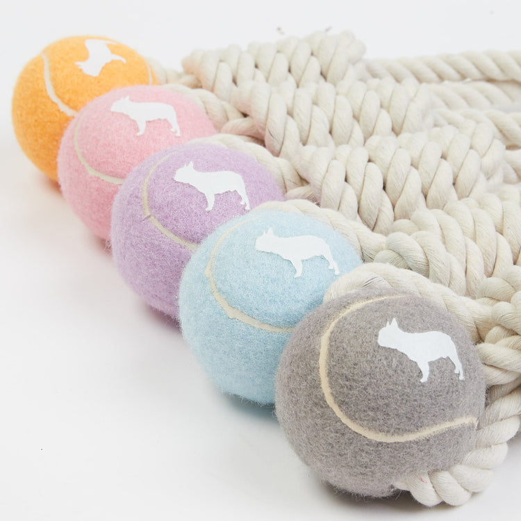 Knotted Rope Dog Toy Collection in 5 Colours